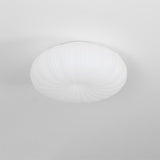 רובי אור תקרה