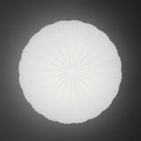 רובי אור תקרה