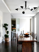 פנס תקרה סרז' מויל א